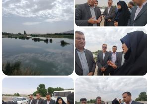 تکمیل بلوار امام رضا (ع) اولویت اصلی پروژه‌های عمرانی شهرستان مبارکه